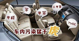 車內(nèi)甲醛正常值以及車內(nèi)放什么東西可以除甲醛？